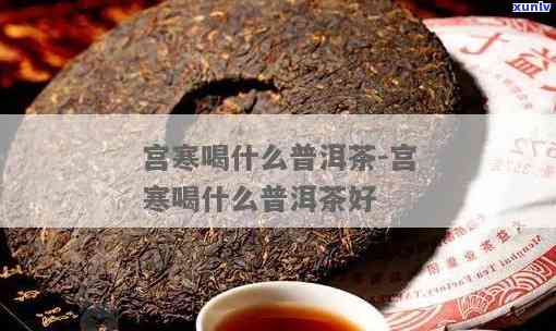 宫寒冬天喝什么茶好-冬天宫寒适合喝什么茶