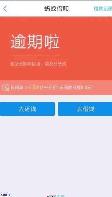 什么是正装翡翠手镯？了解其定义与特点，看图更直观！