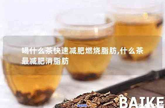 什么茶去脂肪最有效？详解最有效 *** 与选择建议