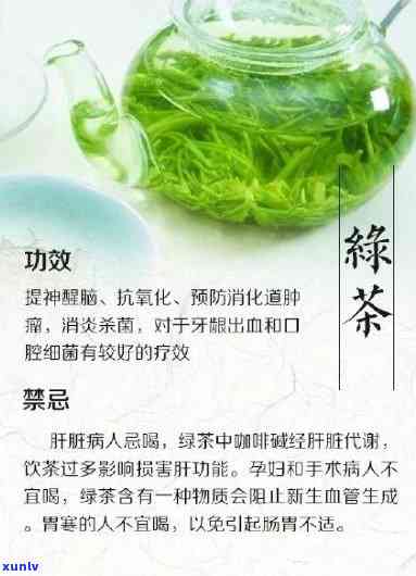 全面了解：什么茶的功效与作用及其禁忌