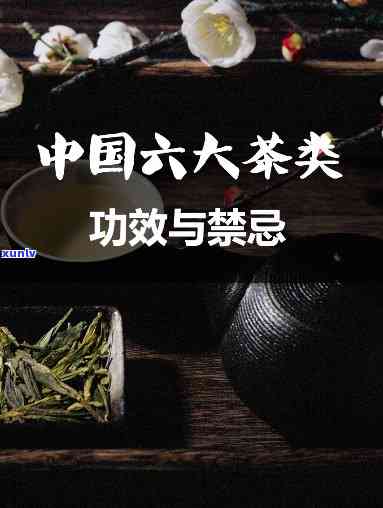 全面了解：什么茶的功效与作用及其禁忌