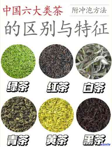 什么茶有什么用，探索茶叶的神秘力量：了解不同种类的茶及其独特功效