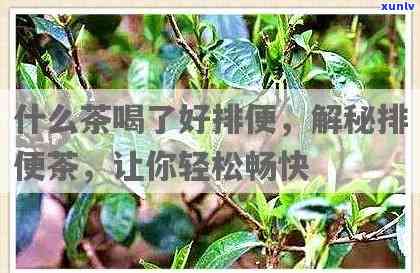 什么茶对便秘有好处？探讨其利弊与选择