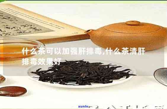 什么茶排肝最有效？哪种茶对排效果？