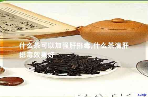 什么茶肝排比较好，探讨肝脏排的茶叶，什么茶效果？