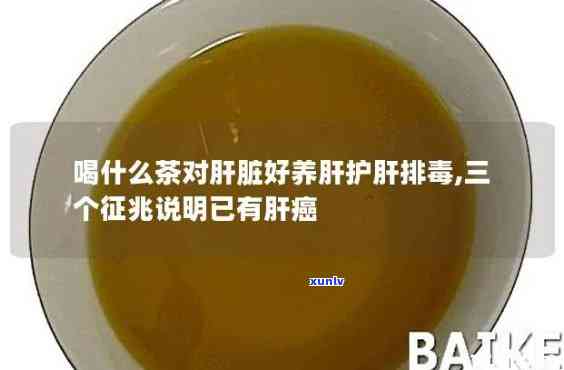 什么茶排肝最有效-什么茶排肝最有效果