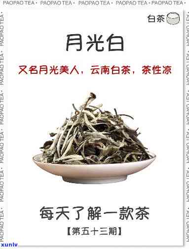 月光白是什么茶功效-月光白是什么茶功效与作用