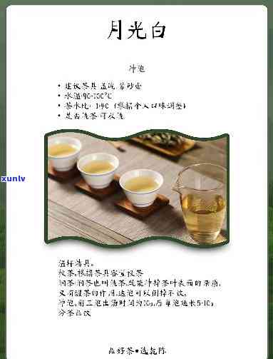 月光白是什么茶功效-月光白是什么茶功效与作用