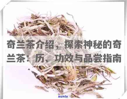 奇兰茶的功效与作用：揭示其保健价值与饮用禁忌