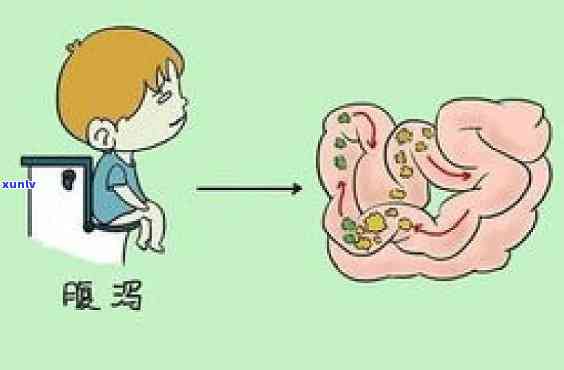 经常拉肚子喝什么泡水？推荐几种有效饮品