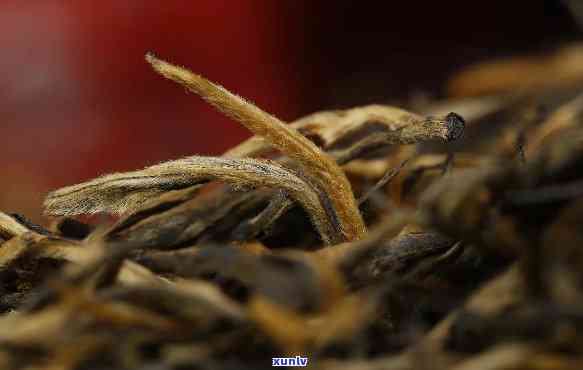 一芽一叶红茶是什么？求名称与类别