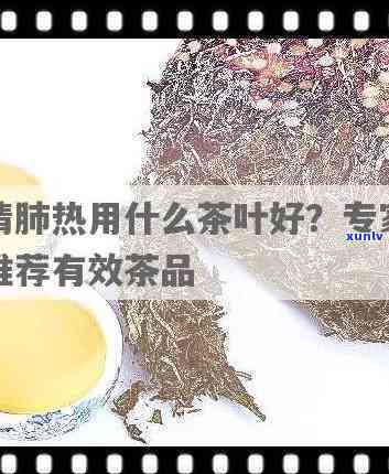 什么茶清肺热最有效，揭秘！哪种茶叶能有效清肺热？