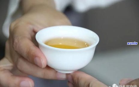 什么茶对吃药没影响，无影响：与一起饮用的茶叶选择