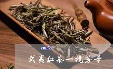 一揽芳华属于什么茶-一揽芳华属于什么茶种