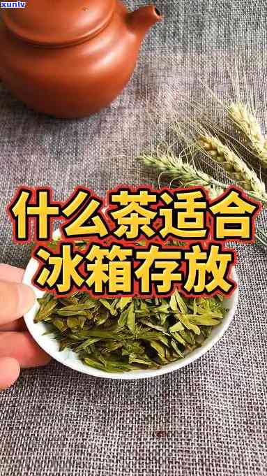 什么茶能泡好放冰箱里，冷藏保存茶叶？这些茶最适合放入冰箱中泡饮！