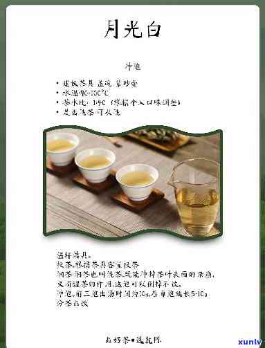 月光白适合做什么茶色，探讨月光白茶叶的茶色适用性