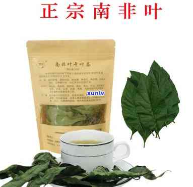 南非叶茶有什么作用-南非叶茶有什么作用和功效