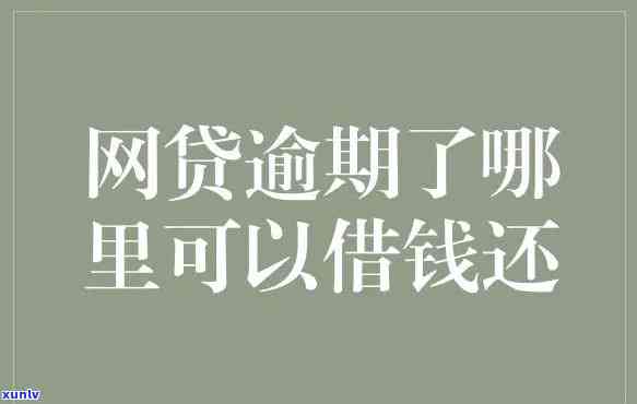 网贷逾期了还不上怎么办？勋林律师解析可能的结果与解决办法