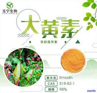 大黄素茶能否降血糖？如何正确饮用以发挥效果？——百度百科