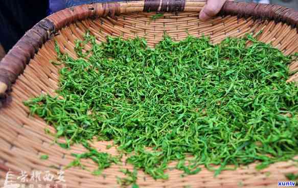 陕西汉中产什么茶，探秘陕西汉中：独特茶叶品种大揭秘！