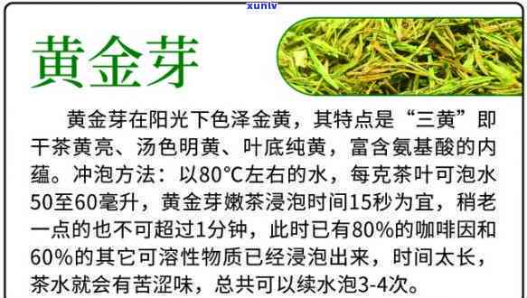 黄叶芽泡水喝的用途与功效全解析