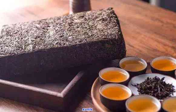 龙园号勐海方砖：经典老砖普洱茶，品味勐海茶厂的独特韵味