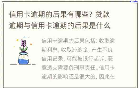 银行贷款和信用卡逾期哪个更严重？全面解析两者区别与作用