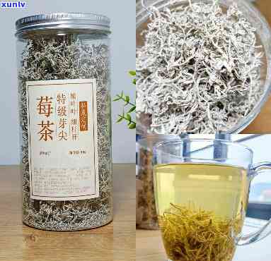 芽尖莓茶是什么类型的茶？