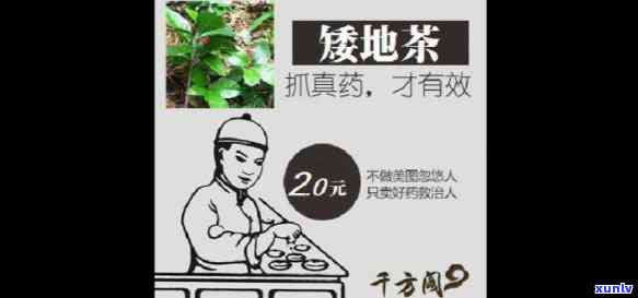 平地茶有哪些地方好-平地茶有哪些地方好喝