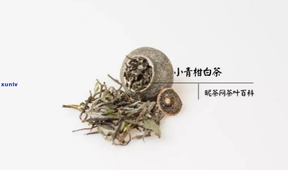 小柑橘配什么茶好喝点，寻找搭配：小柑橘与哪种茶更美味？