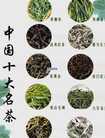 什么茶闻起来特别香好喝？揭晓香气浓、口感绝佳的茶叶品种！