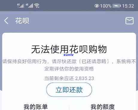 花呗还不上钱的结果：全面解析与警示