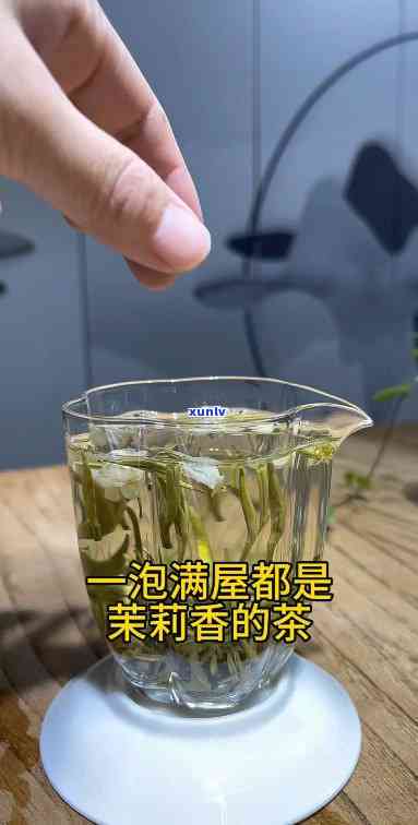 什么茶泡完满屋飘香-什么茶泡完满屋飘香好喝