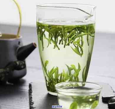 什么茶喝着清香好喝？绿茶、乌龙茶和白茶都是不错的选择！