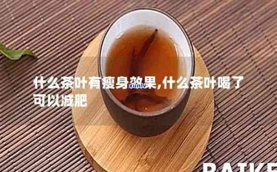 什么茶减肥效果明显-什么茶减肥效果明显一点