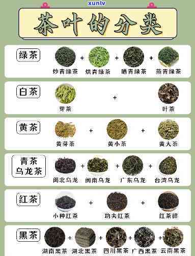 什么茶喝前不需要洗茶，喝茶不洗茶？这些茶叶品种例外！