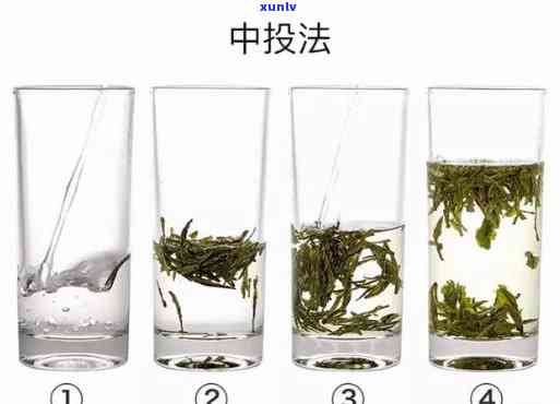 什么茶喝前不需要洗茶水？绿茶、黄茶、乌龙茶、白茶等无需洗茶