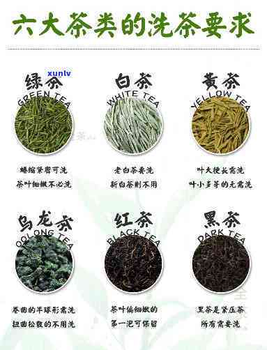 什么茶需要洗茶？什么茶不需要？详解茶叶清洗技巧