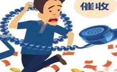 上海  ：哪些平台可用？投诉渠道怎样？