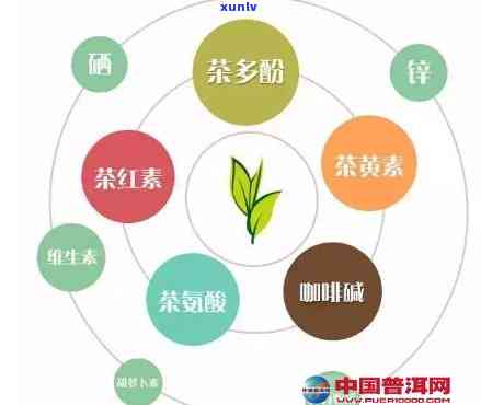 茶是否有杀菌作用与功效？探讨相关科学证据与图片解析