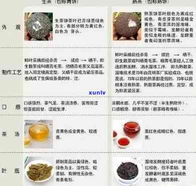 茶是否有杀菌作用与功效？探讨相关科学证据与图片解析