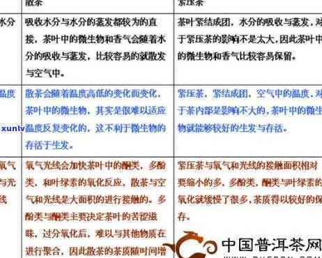 茶是否有杀菌作用与功效？探讨相关科学证据与图片解析