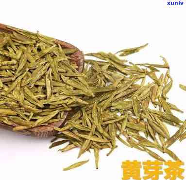 山黄芽茶是什么茶-山黄芽茶是什么茶类