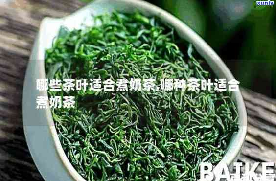 什么茶加奶比较好喝一点？探讨适合加奶的茶叶种类