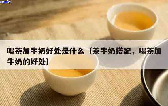 什么茶适合加奶，探索的奶茶搭配：什么茶最适合加入牛奶？