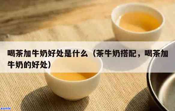 什么茶加奶比较好喝-什么茶加奶比较好喝一点