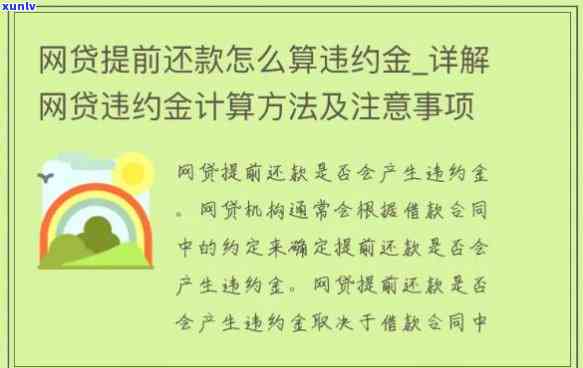 网贷还款法律规定有哪些内容，深入了解网贷还款：法律规定全解析