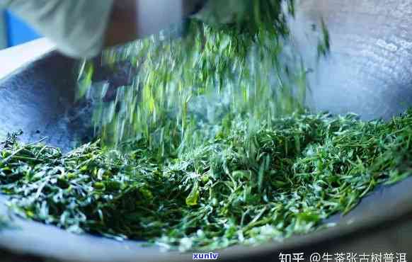 手工茶是属于什么茶-手工茶好吗