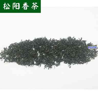 松阳香茶属于什么茶种？详解其类别与特点