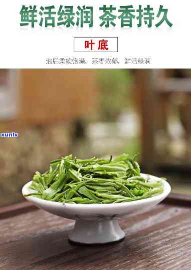 松阳香茶属于什么茶-松阳香茶多少钱一斤